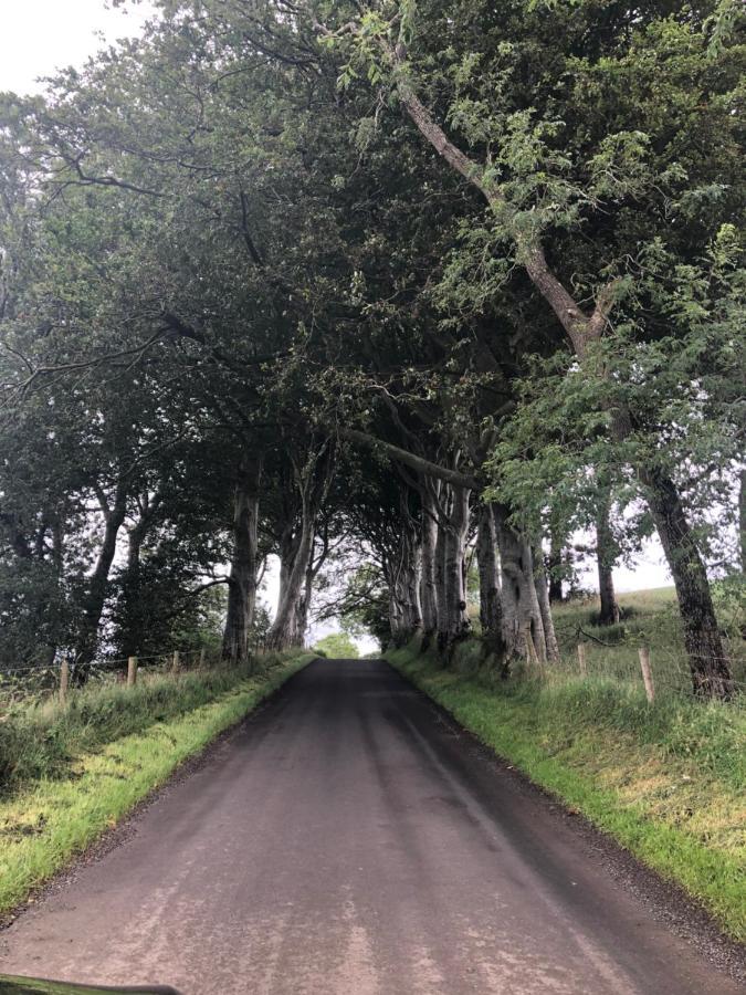 Den @ The Dark Hedges Lägenhet Stranocum Exteriör bild